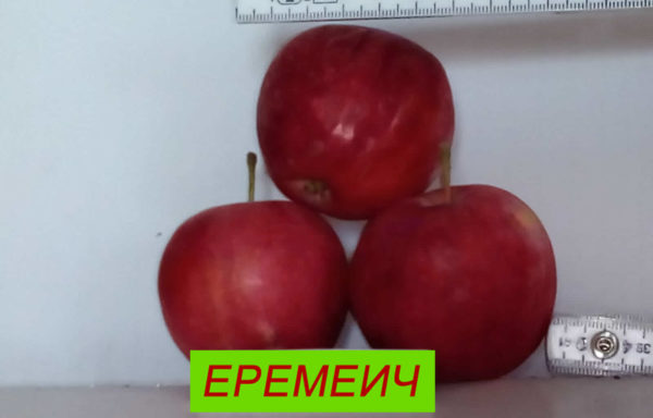 ЕРЕМЕИЧ