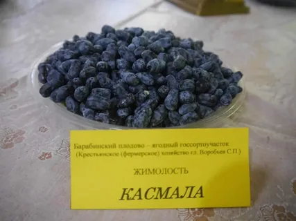 КАСМАЛА